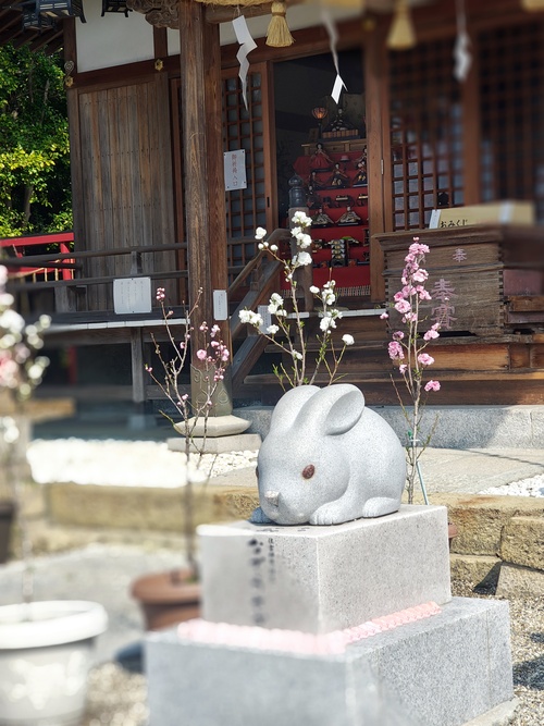 令和8年花桃節句の写真