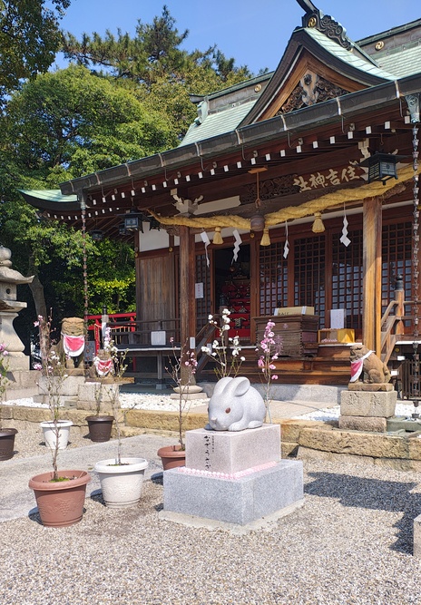 令和8年花桃節句の写真